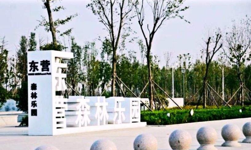 东营西一路自然美景探索之旅,最新消息与心灵宁静的启示