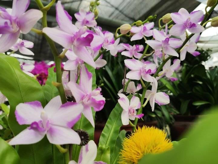 东营西一路自然美景探索之旅,最新消息与心灵宁静的启示