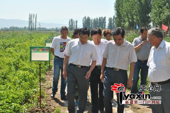 裕民县徐本来科技新品亮相,智能生活新篇章开启