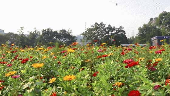 正万高速公路最新动态更新,最新消息汇总