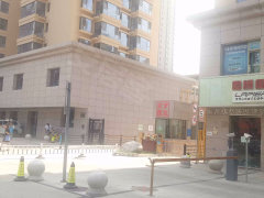 不锈钢金属网带 第416页