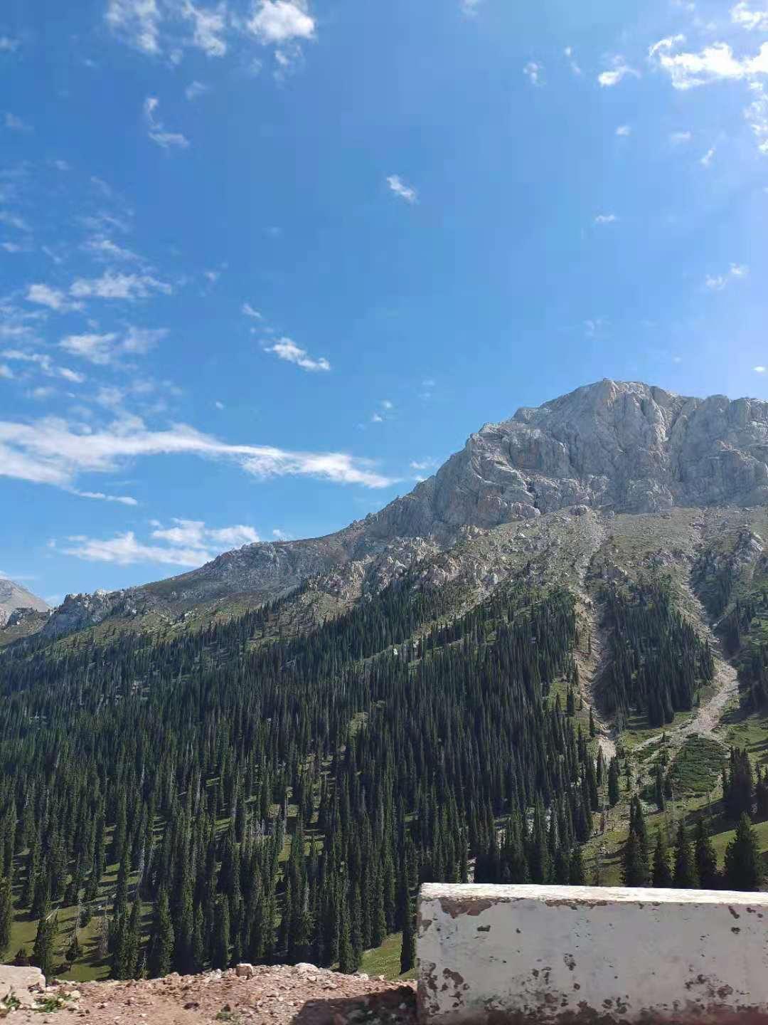 伊昭公路最新动态,七座公路上的温馨旅程开启