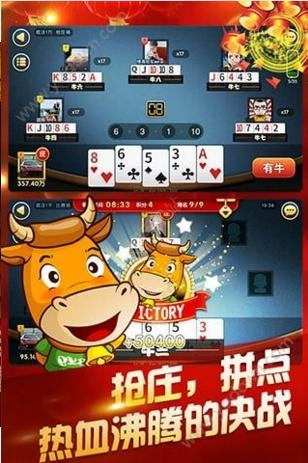 不锈钢金属网带 第376页