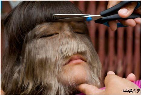 艾米丽苏珊,科技革新先锋,引领未来生活新体验