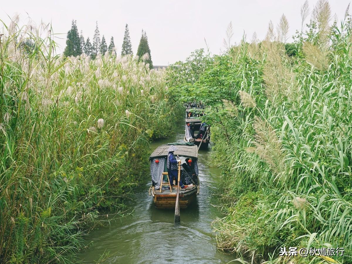警惕非法色情内容,关于第七色最新地址婷婷的正经介绍与合法娱乐建议