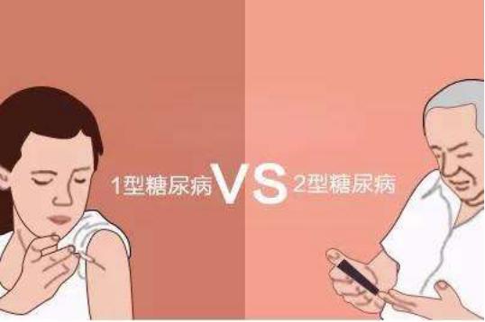 不锈钢螺旋网带 第410页