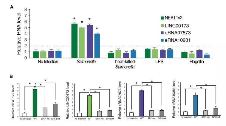 新澳精准资料免费公开,定量解析解释法_UET83.999豪华款