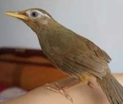 最新年龄划分标准出炉,你准备好迎接人生的新阶段了吗?