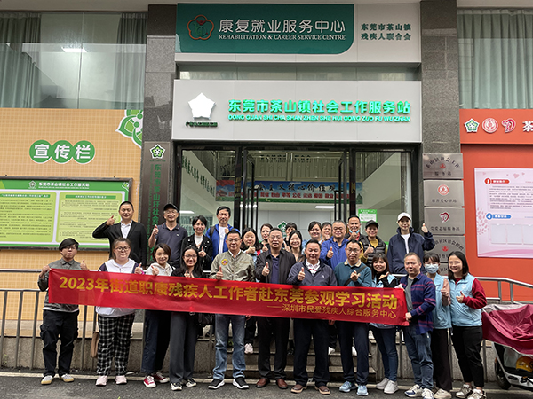 东莞最新残疾人招聘,小巷中的职业机会之门