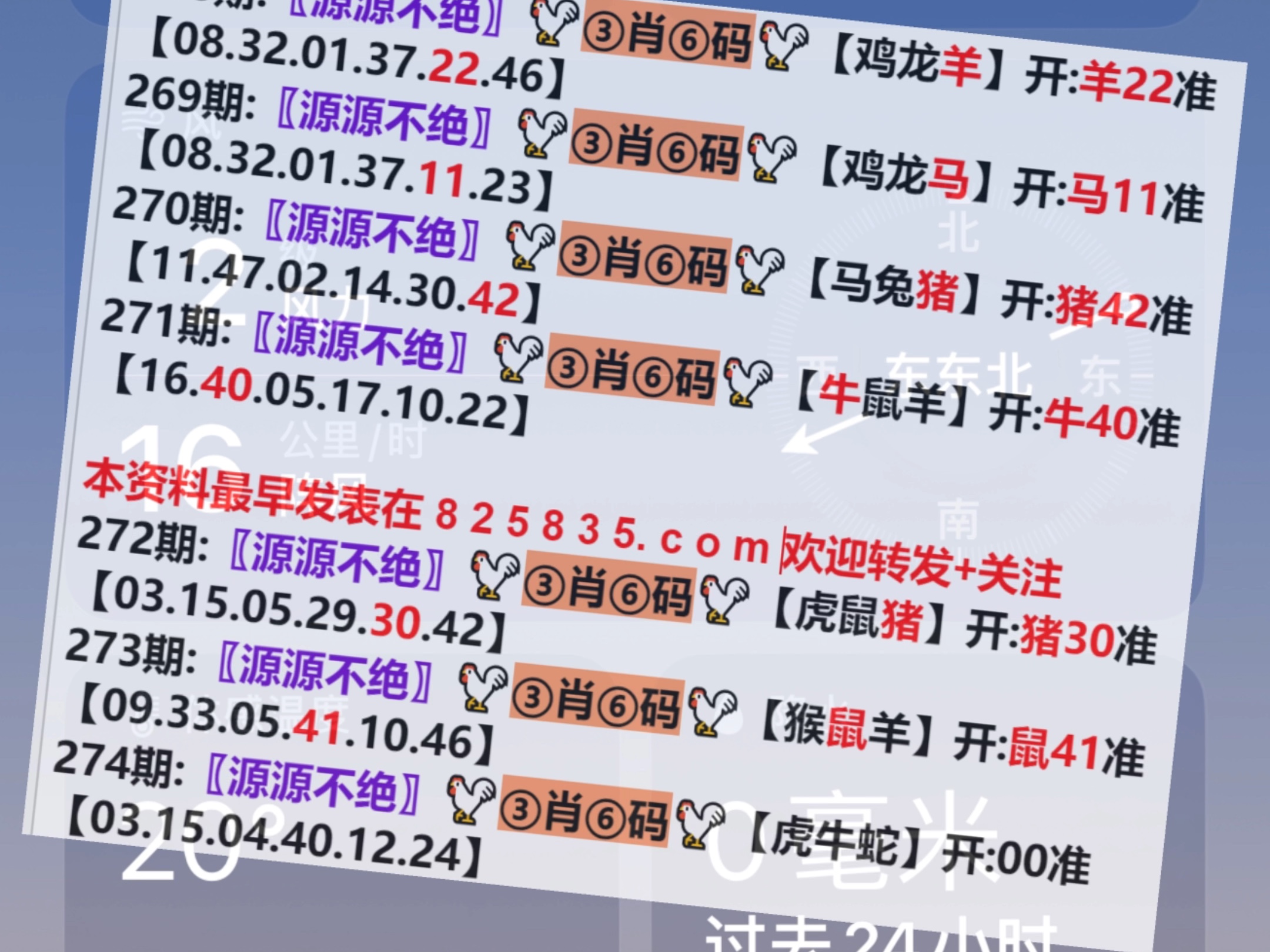2024澳门特马今晚开奖历史,实践调查说明_LNL83.682影像版