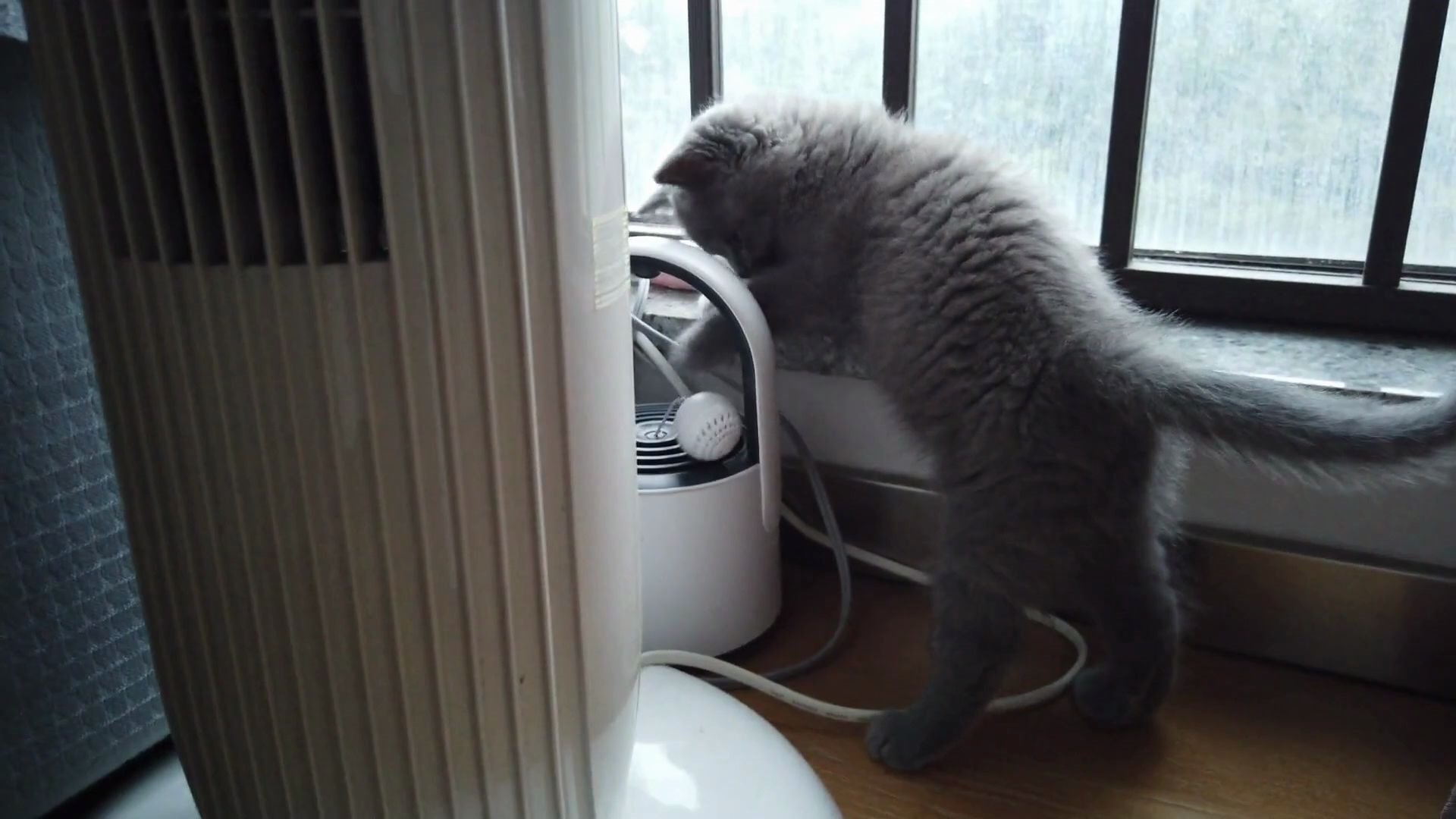 2024今晚最准四不像,实证分析详细枕_PNL9.678生态版