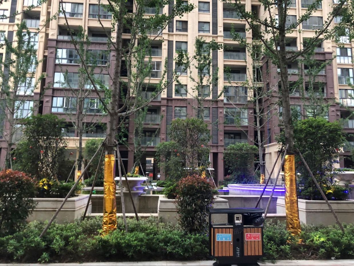 镇江润康城房价最新动态,探寻小巷中的隐藏宝藏