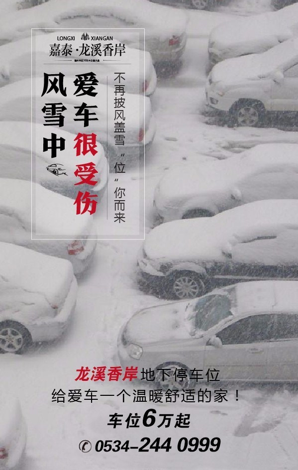 德州龙溪香岸最新动态揭秘,最新进展与动态✨