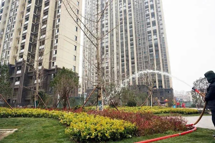 济河未来城最新动态揭秘,城市变迁中的奋进步伐