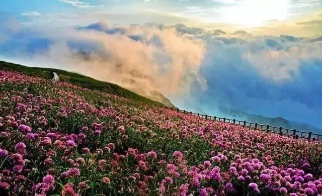 不锈钢链板 第358页