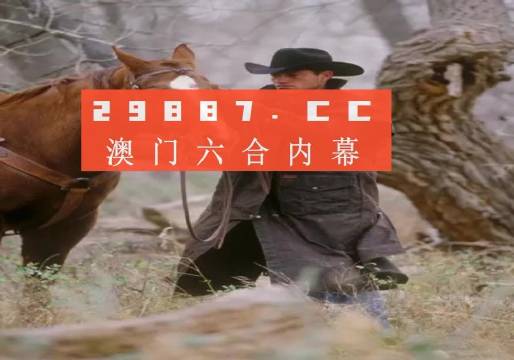 六合大全资料全年资料,深度研究解析_EGJ9.108私人版