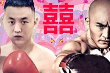 一龙最新比赛被ko,一龙最新比赛被KO,解析背后的故事与启示