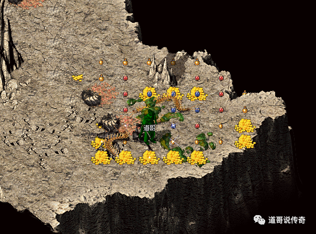 最新巨钳天蝎花园坐标,最新巨钳天蝎花园坐标,探寻神秘花园的地理位置