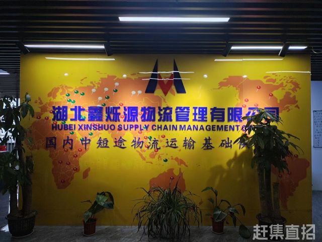 湖北振鑫物流最新动态揭秘✨