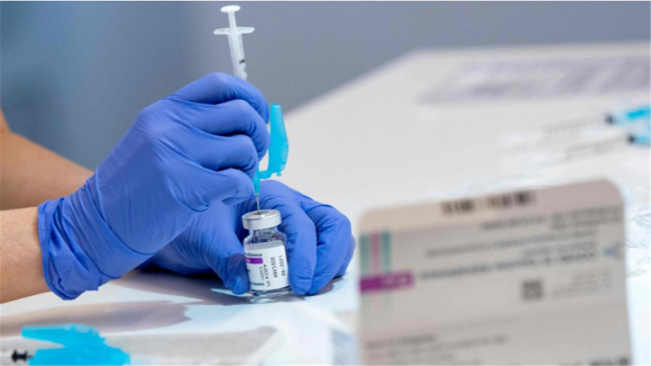 2024年11月新冠高峰,财务决策技能实训资料_理想版22.187