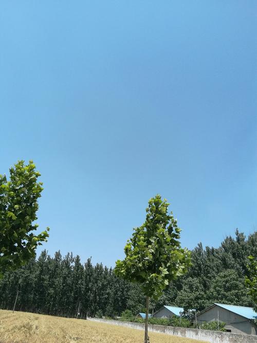 长葛最新天气预报，气象更新与日常趣事分享