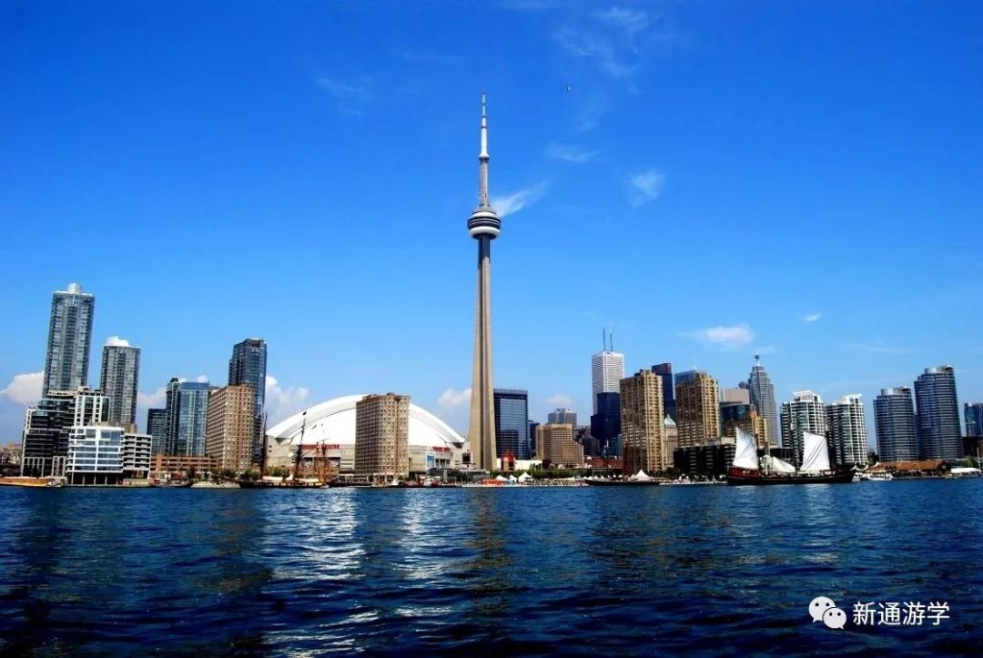 新澳门免费资料最新版,深度研究解析_探索版87.966