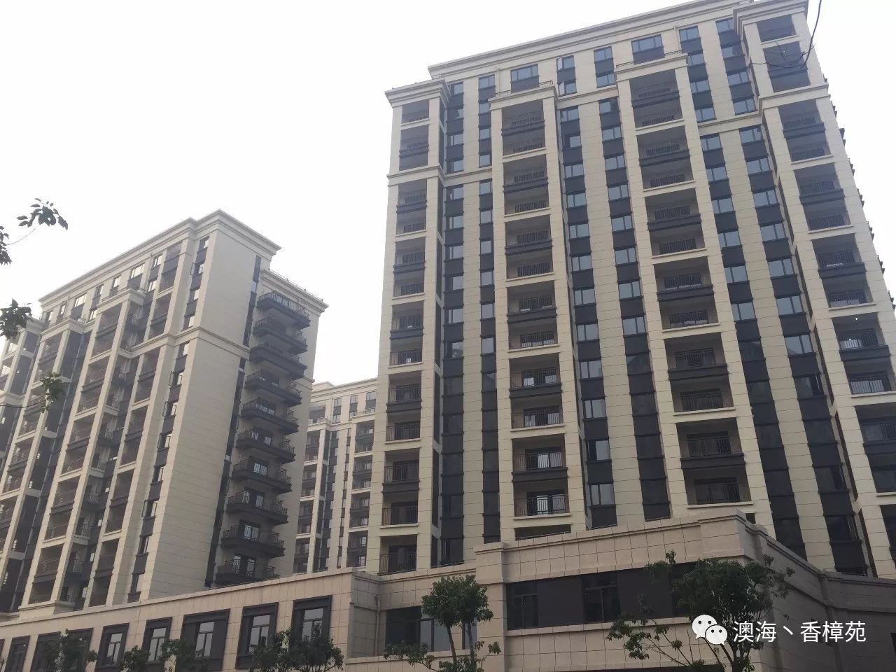 澳海香樟苑最新价格查询指南,最新价格一览