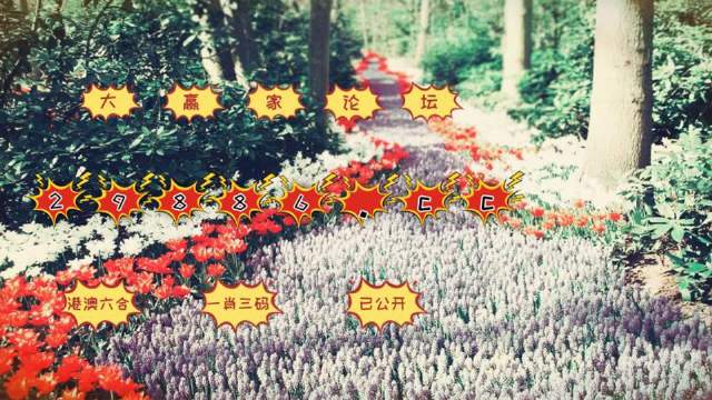不锈钢金属网带 第332页