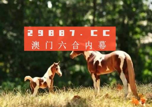 澳门跑狗,高效性设计规划_旗舰款56.856