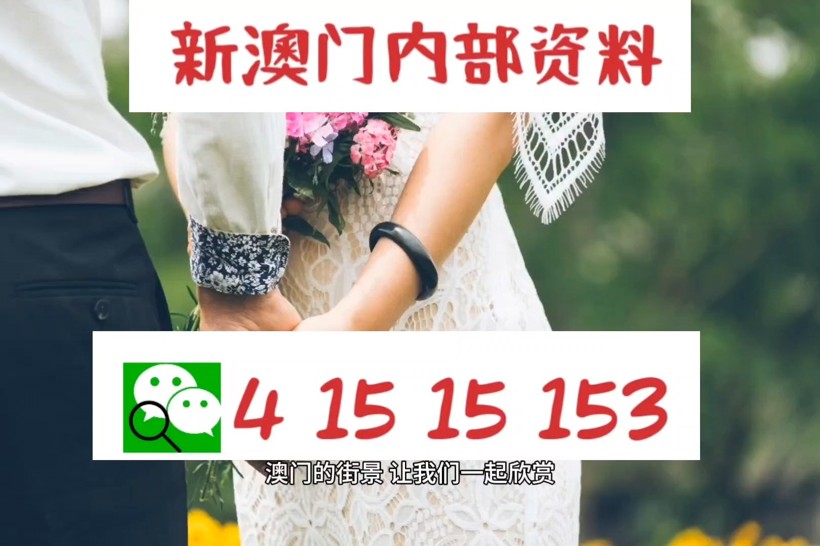 新澳门正版资料图片及价格,快速问题解答_数字处理版76.441