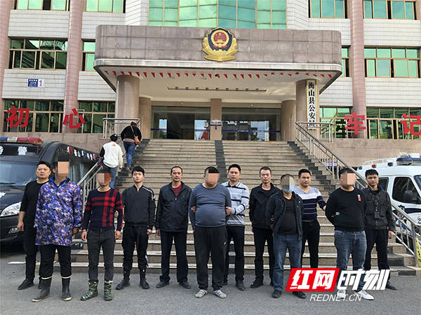 洞口红网最新新闻报道