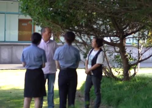 中央集资最新六办法,规范与风险并存的管理策略