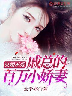 现代都市婚恋观的探索，只婚不爱的最新章节