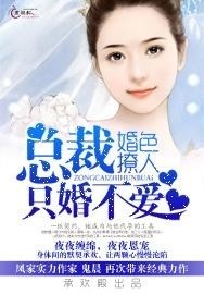 现代都市婚恋观的探索,只婚不爱的最新章节