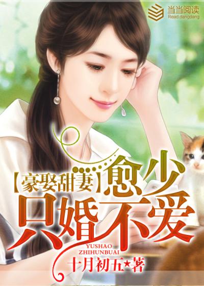 现代都市婚恋观的探索,只婚不爱的最新章节