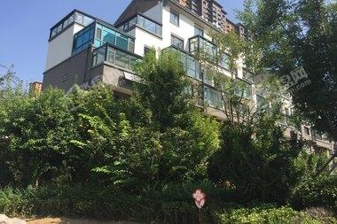 苏州运河公馆最新房价概览与指南