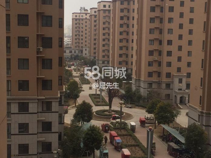 不锈钢螺旋网带 第355页