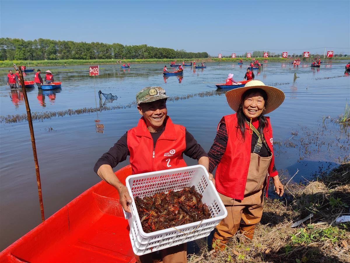 潜江生态龙虾最新资讯更新，掌握最新动态