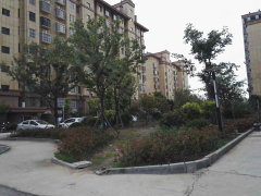 泗洪东方公馆最新房价,时代印记与市场的脉动