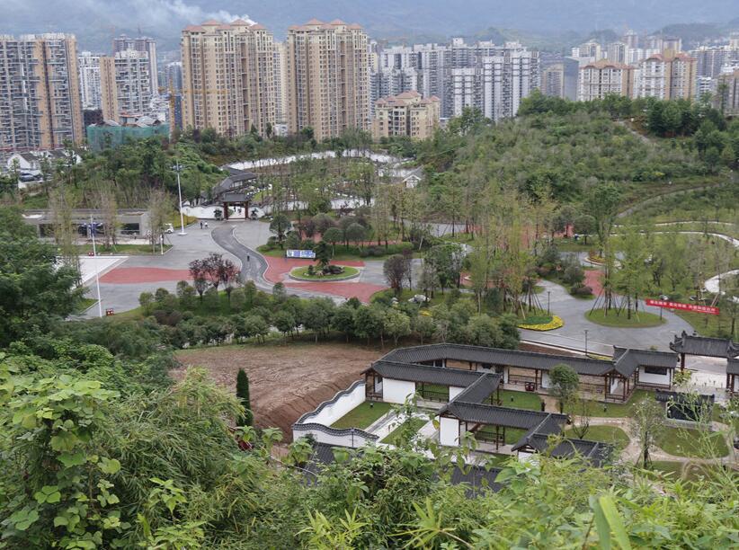 正版资料综合资料,绿色汽车决策资料_快速版76.334