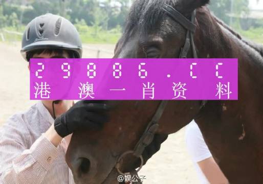 今晚澳门必中一肖一码适囗务目,精准分析实践_紧凑版18.927