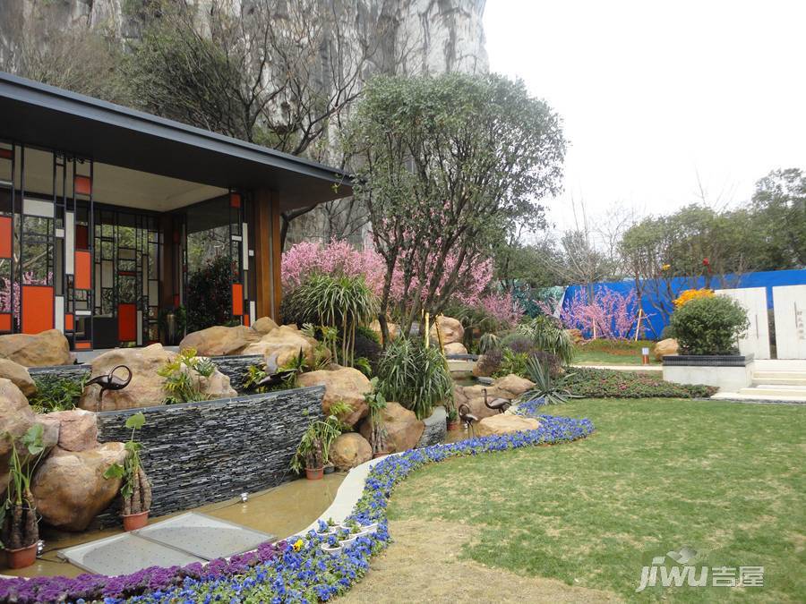 桂林花千树最新动态,桂林花千树最新动态