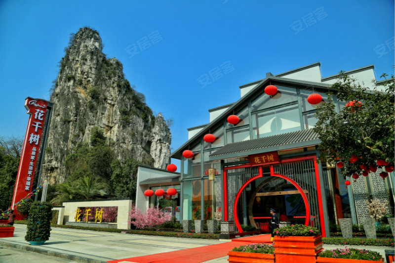 桂林花千树最新动态,桂林花千树最新动态