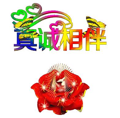 不锈钢金属网带 第312页