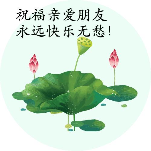 最新早晨动态图片大全,最新早晨动态图片大全——获取与分享的步骤指南