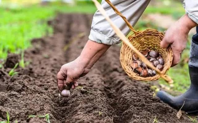 兰陵县家天下最新价格动态,变化中的机遇与自我成长的励志之旅