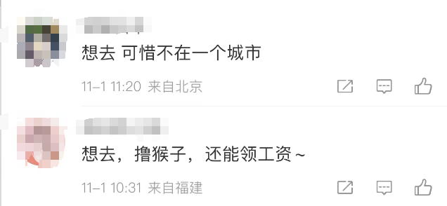 峨眉山最新招聘,探寻小巷独特风味,未来等你来挑战!