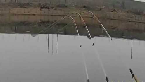 最新筏竿钓鲫鱼视频,自然美景的探索之旅启动!