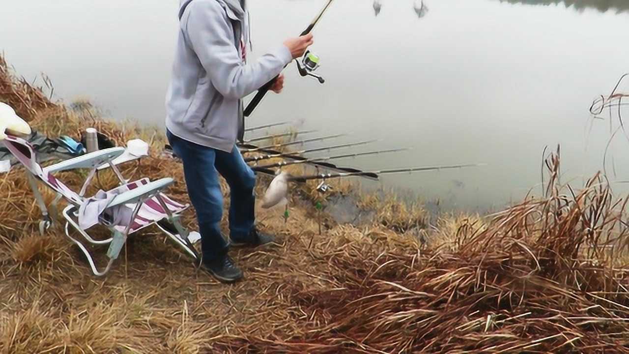 最新筏竿钓鲫鱼视频,自然美景的探索之旅启动!