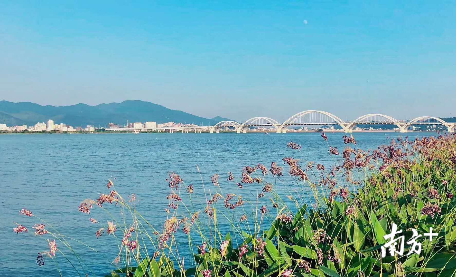 潮州小巷里的绿色宝藏，最新环保动态揭秘